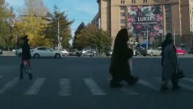 Медведь на переходе :) смотреть онлайн