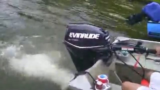 EVINRUDE E25