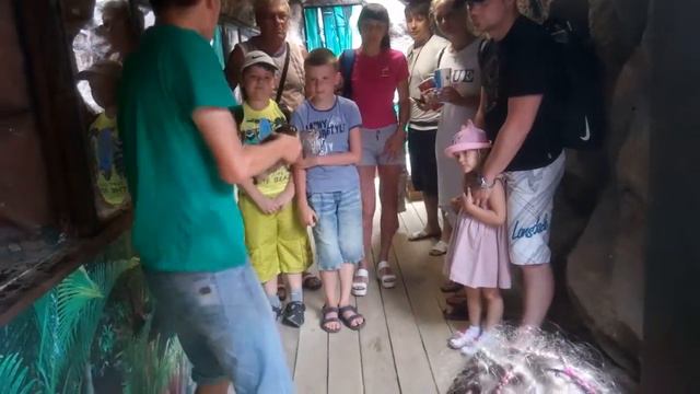 Каймановая черепаха,Анапа смотреть онлайн