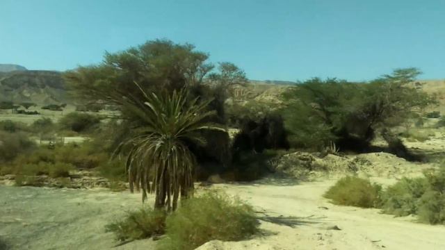 Аравийская пустыня, Яэль смотреть онлайн