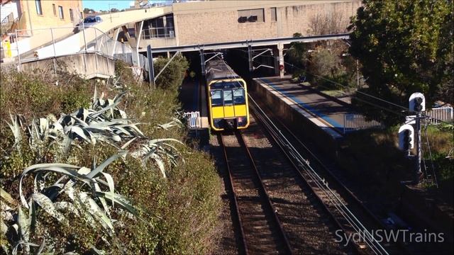 Sydney Trains Kogarah Station Passenger Injury Delay смотреть онлайн