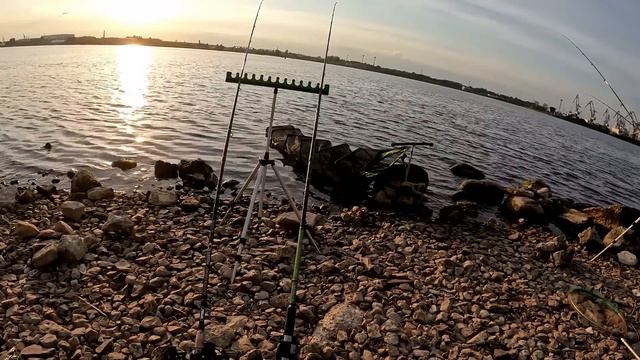 50кг фанеры это просто, сидиш, болтаешь а она сама клюёт, отчёт Но 179 смотреть онлайн