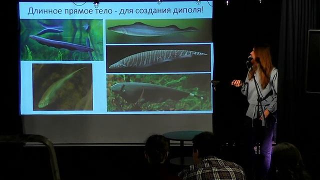 "Дети Зевса в царстве Посейдона". "Гиперион", 18.10.22 смотреть онлайн