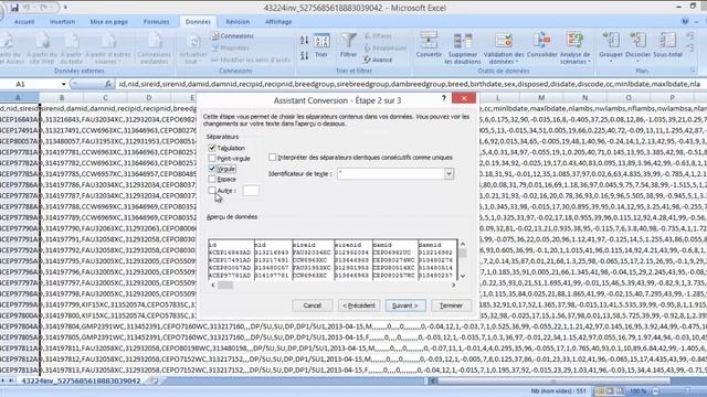 GenOvis - Conversion d'un fichier CSV en format Excel смотреть онлайн