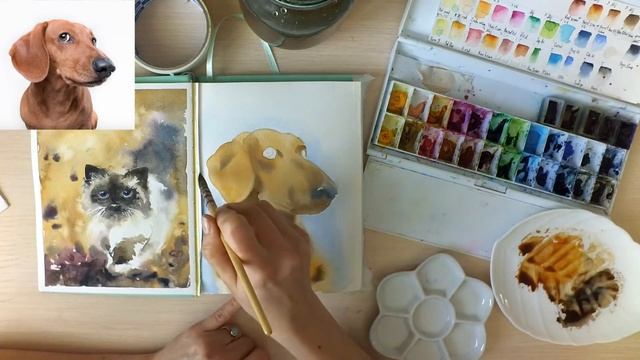 Мастер-класс #48 Пёс. Watercolor workshop смотреть онлайн