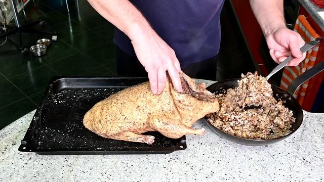 Творческие Проекты