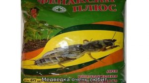 Медведка — как с ней бороться народные средства