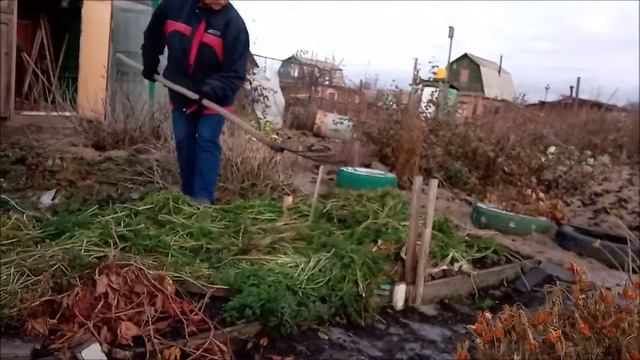 Последний урожай на даче, встреча с рябчиками смотреть онлайн