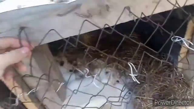 С днём рождения (секретное видео)18 декабря смотреть онлайн