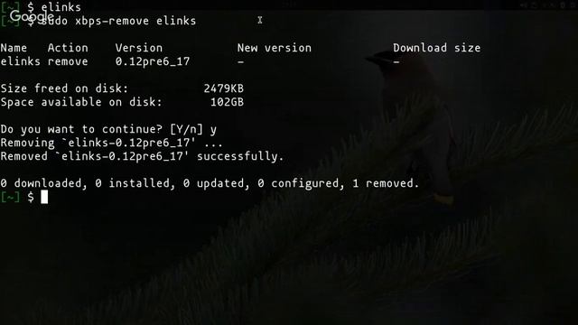 Void Linux com Leandro Ramos e Juliano Ramos! смотреть онлайн