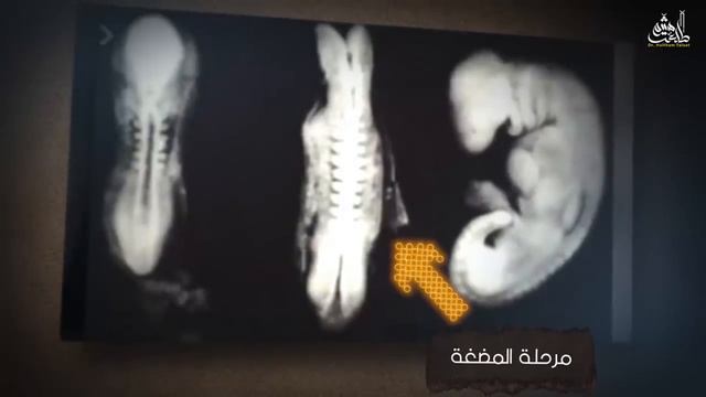КОРАН "ЦИТИРУЕТ ГАЛЕНА" ОТВЕТ НА ВИДЕО "Ищем научные чудеса и ошибки в Коране [ЧУДОВЕРИЕ]" смотреть онлайн