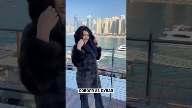 Баргузинский соболь. Шуба из Соболя. Пошив Соболя по своим размерам. Греческая шуба смотреть онлайн