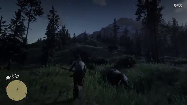 RDR2O East Watsons Treasure Hunt смотреть онлайн