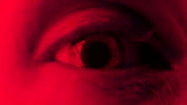 UDO 2007 Metallized 20 Years Of Metal 320