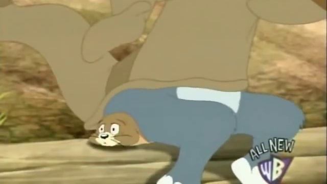 Tom and Jerry Kangadoofus 2007 смотреть онлайн