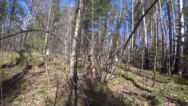 НА ВЕЗДЕХОДЕ К ЗАБРОШЕННЫМ ДЕРЕВНЯМ В СИБИРСКОЙ ТАЙГЕ смотреть онлайн