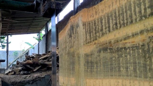 Sering dijadikan tempat sembunyi maling sapi yang lolos.terpaksa kayu mistis ini dipotong sawmill смотреть онлайн