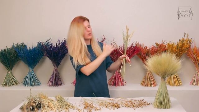 Мастер класс по сборке букета из сухоцветов по спирали. Набор из сухоцветов Колхоз Луч. смотреть онлайн