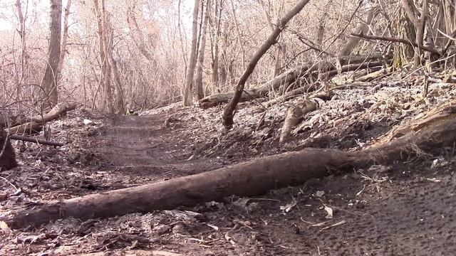 WLToys 12428 First Trail Run of 2017! смотреть онлайн
