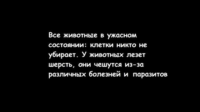 Полюстровский ПТИЧИЙ рынок | СНИМАТЬ ЗАПРЕЩЕНО | УЖАС! | Издевательство над животными смотреть онлайн
