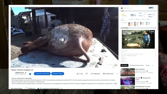 БРАК - поросенок с одним яйцом смотреть онлайн