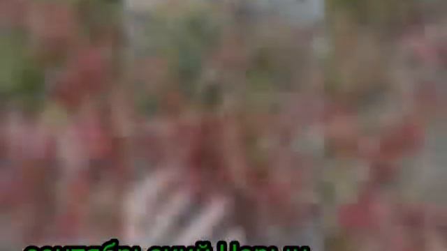 Готовка в Кемпинге и на Походах