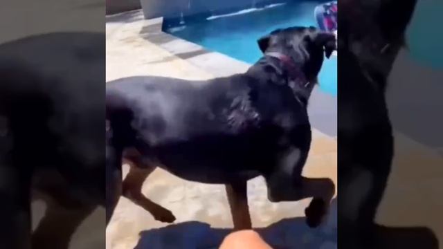 лови меня...!!!?? смотреть онлайн