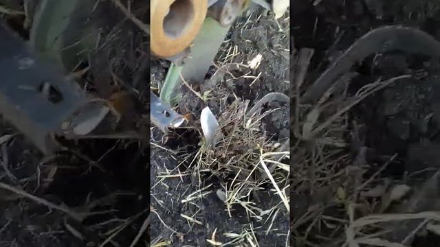 Вспашка мотоблоком Кротофф целины, фрезы смотреть онлайн