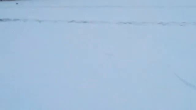 Покатушки на льду Musstang 125cm смотреть онлайн