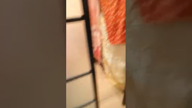 Раздвижные перегородки смотреть онлайн