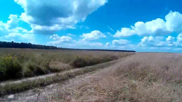 Доставка щебня на участок по полю смотреть онлайн