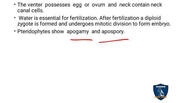 Pteridophytes in Tamil I Plant Kingdom | Botany I Class 11 | TNSCERT/CBSE | NEET смотреть онлайн