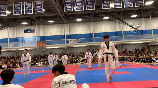 Kukkiwon Demo Team 2019 смотреть онлайн