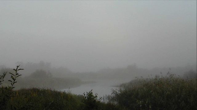 Иеромонах Роман. Туман («Туман, туман, туман меня окутал…») смотреть онлайн