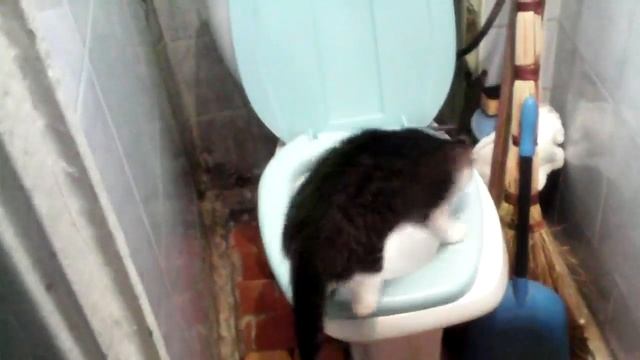 Тайна в туалете смотреть онлайн