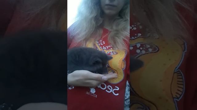 Знакомьтесь - Агнесса смотреть онлайн