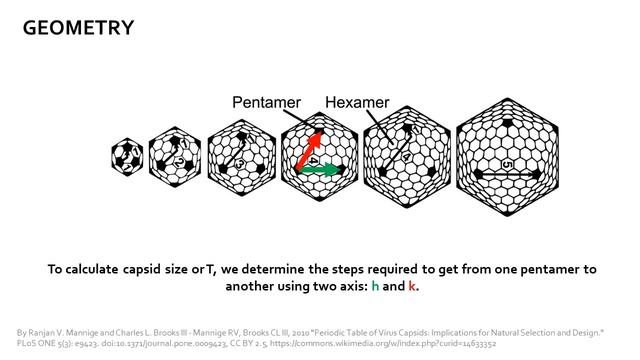Calculating the Viral T number смотреть онлайн