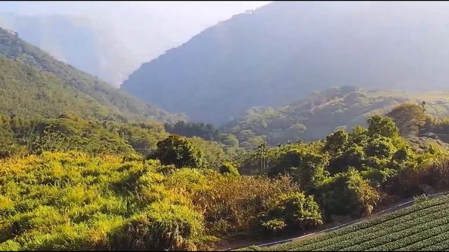 Алишаньский Национальный природный парк - Тайвань - Обзор смотреть онлайн