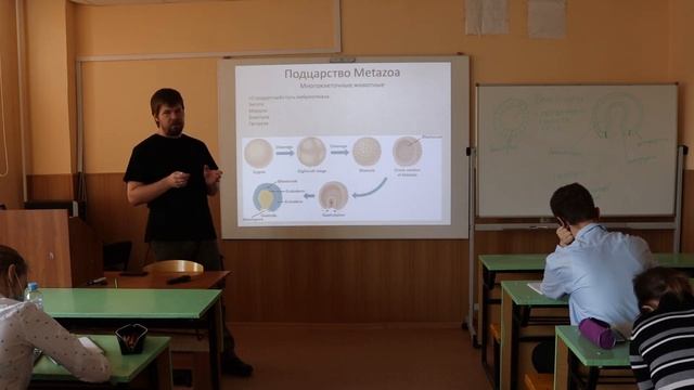 Зоология беспозвоночных 5 Губки смотреть онлайн