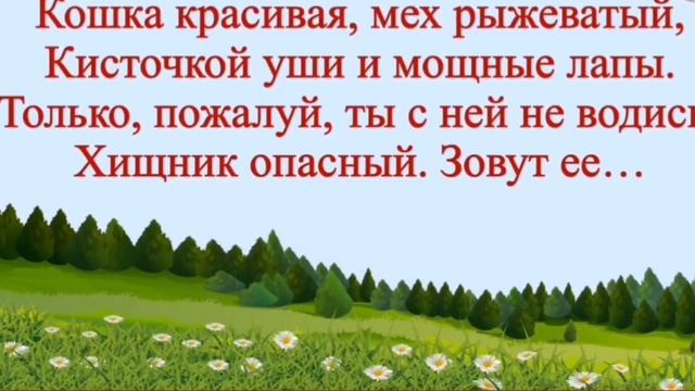 Мягкий знак - показатель мягкости смотреть онлайн