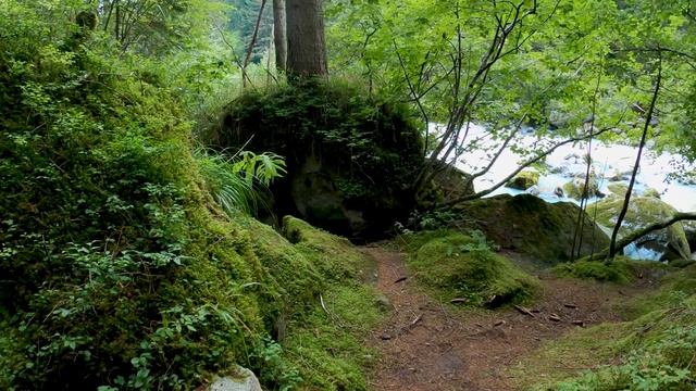 спокойная музыка для расслабления, сна и медитации. calm music for relaxation, sleep and meditation смотреть онлайн