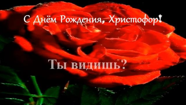 Смешное поздравление. С Днём рождения, Христофор! смотреть онлайн