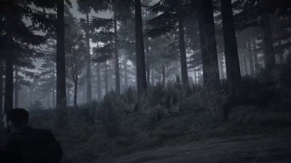 35 mm #1 Мишка, мишка, где твоя улыбка