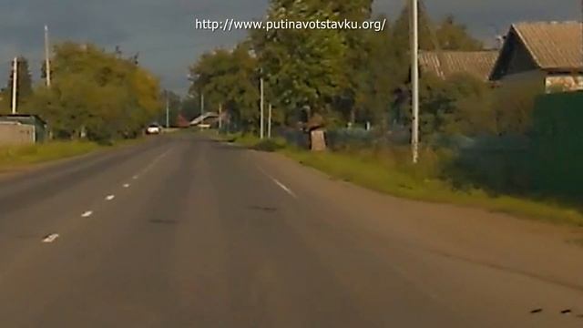 Коршун хватает добычу на трассе | Кемерово смотреть онлайн