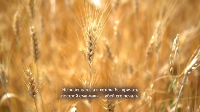 Мой Милый Человек | Автор стихотворения: Алена Васильченко смотреть онлайн