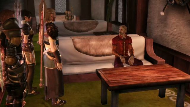 Dragon Age Origins WAR MAGE 