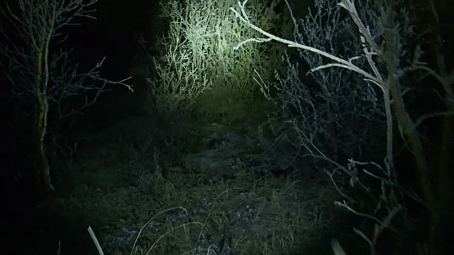 2023.10.16. Мистическая тундра смотреть онлайн