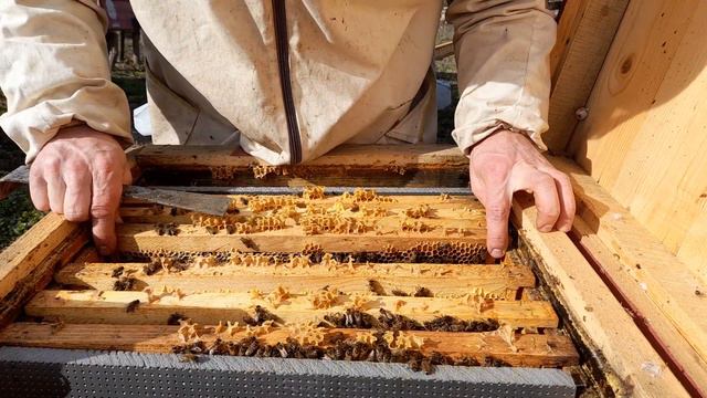 02.27.24 смотреть онлайн