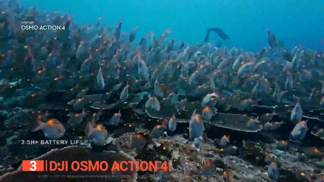 TOP 5 Best Sports Cameras: Top action cameras for adventure of 2023 смотреть онлайн