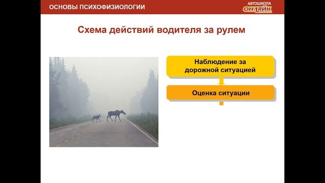 14.06.2019 МСК 19-00 Психофизиологические основы деятельности водителя смотреть онлайн